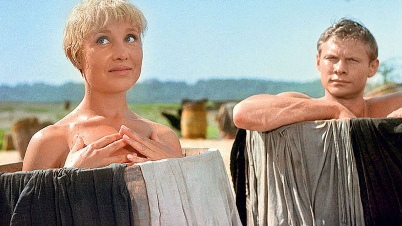 Krepkiy Oreshek backdrop