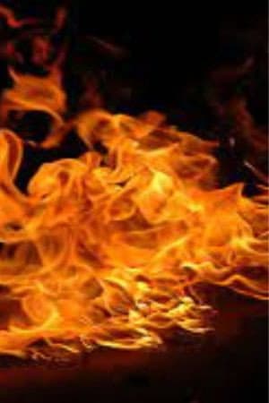 Miller Sargeant profile