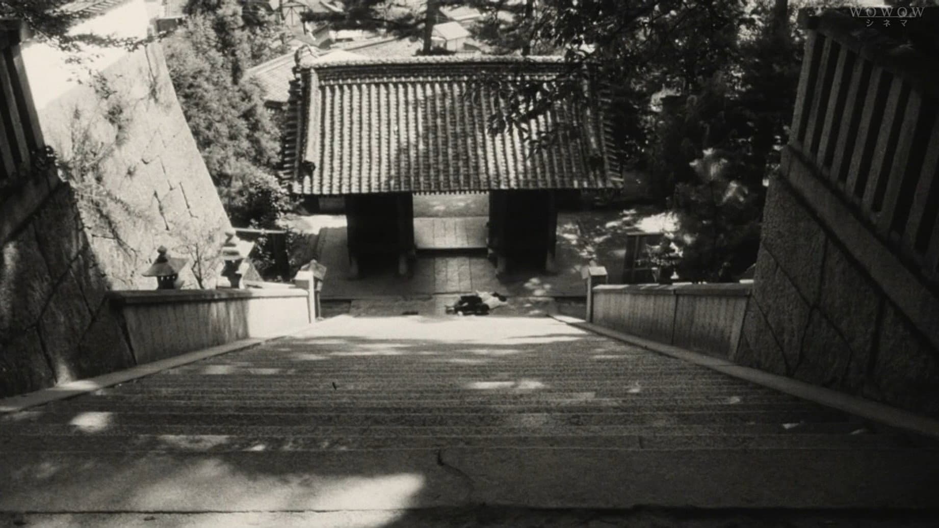 I Are You, You Am Me backdrop