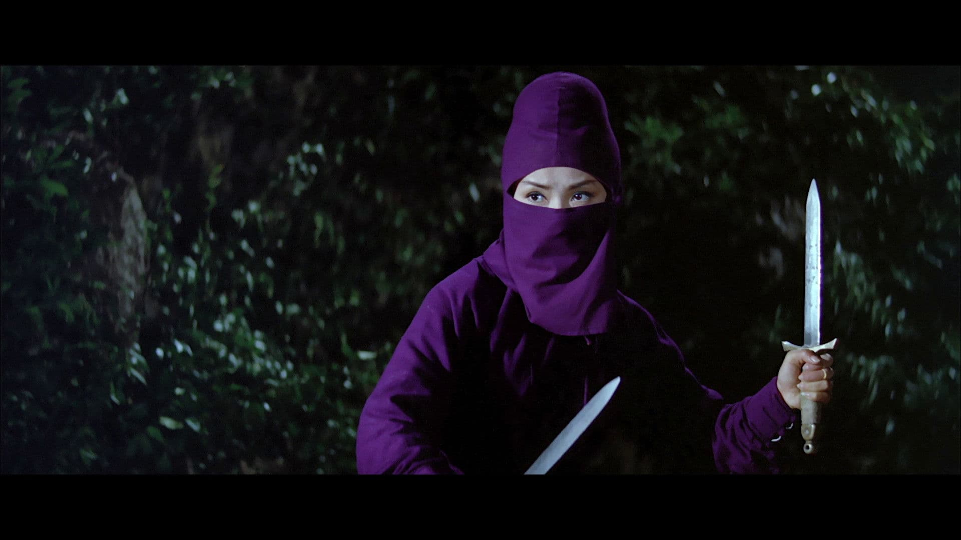 Black Butterfly backdrop