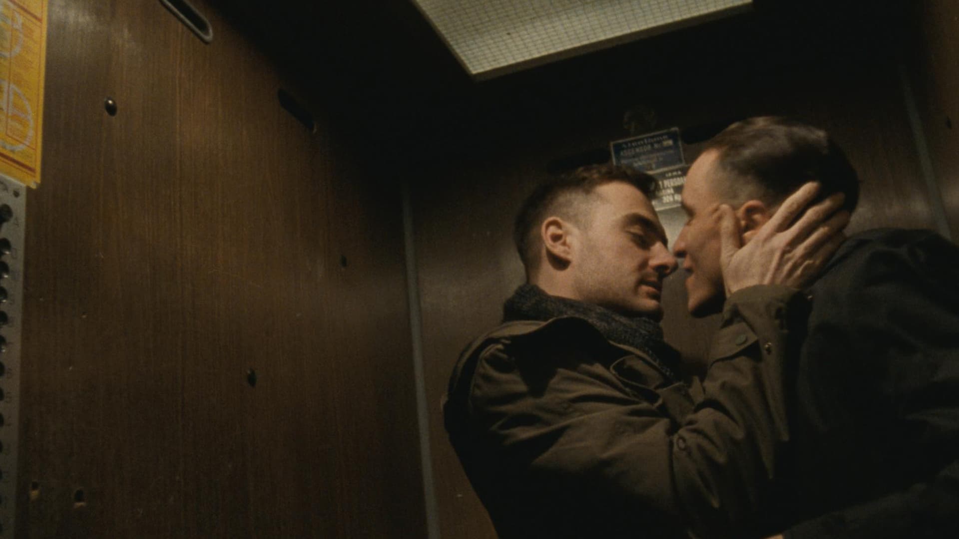 Poppy Field backdrop