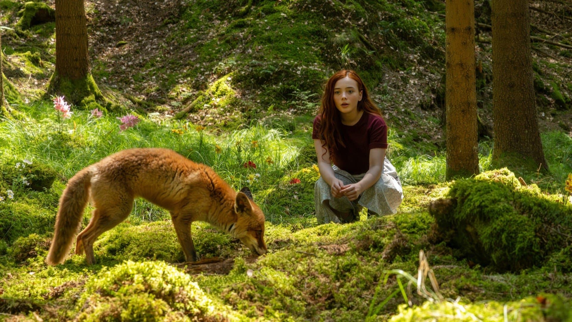 A Girl Named Willow backdrop