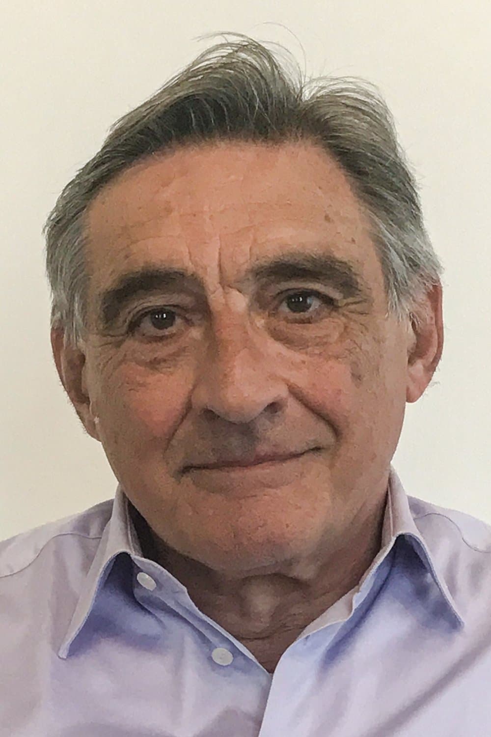 Ahmet İnsel profile