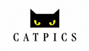 Catpics AG
