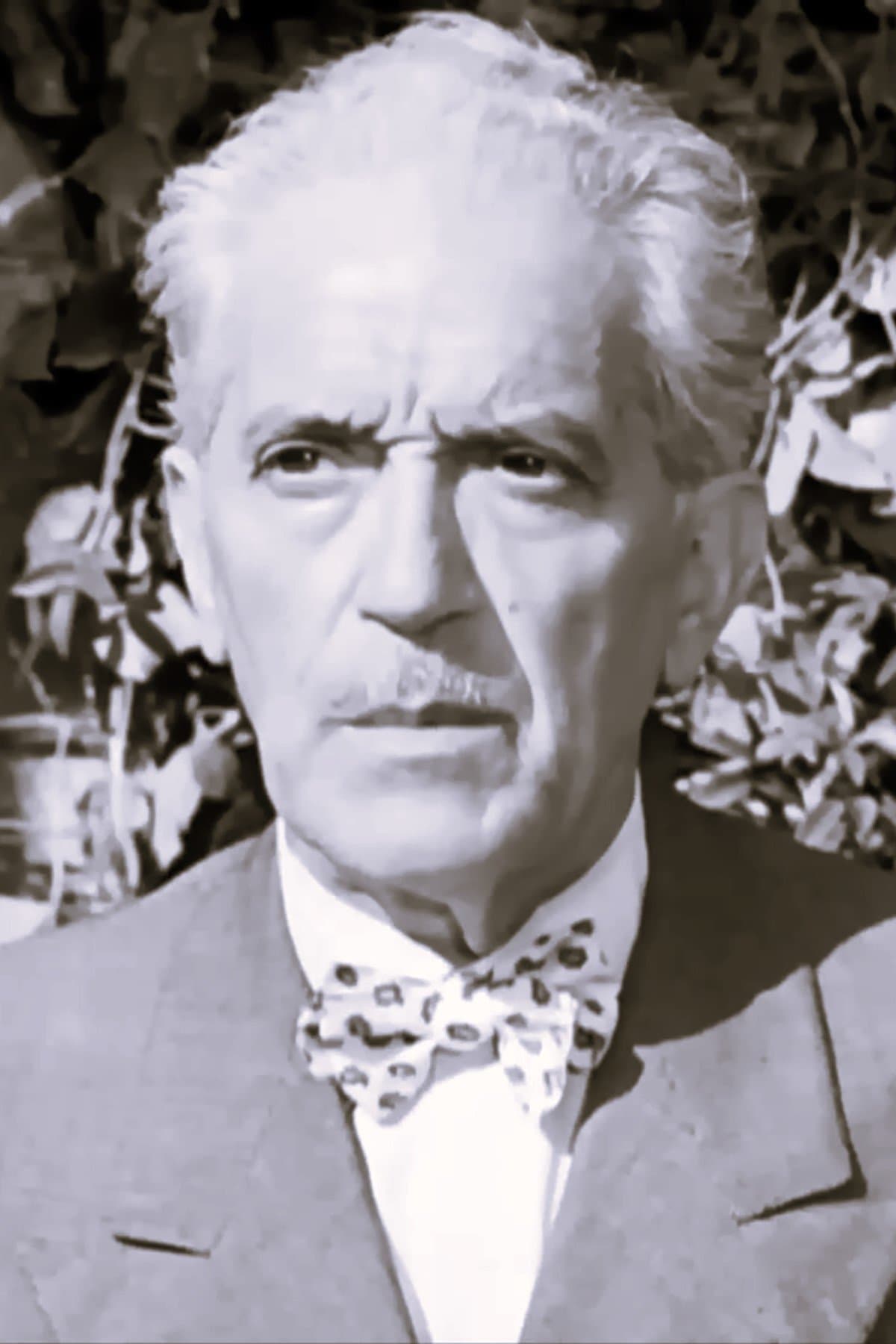 Raimondo Van Riel profile