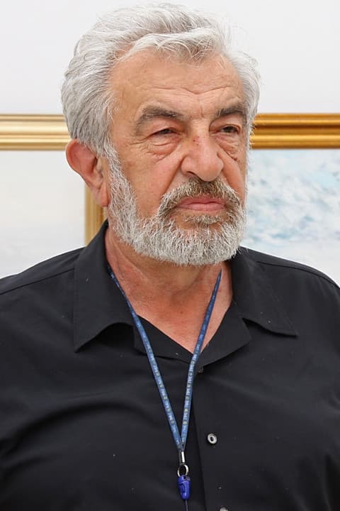Ștefan Sileanu profile