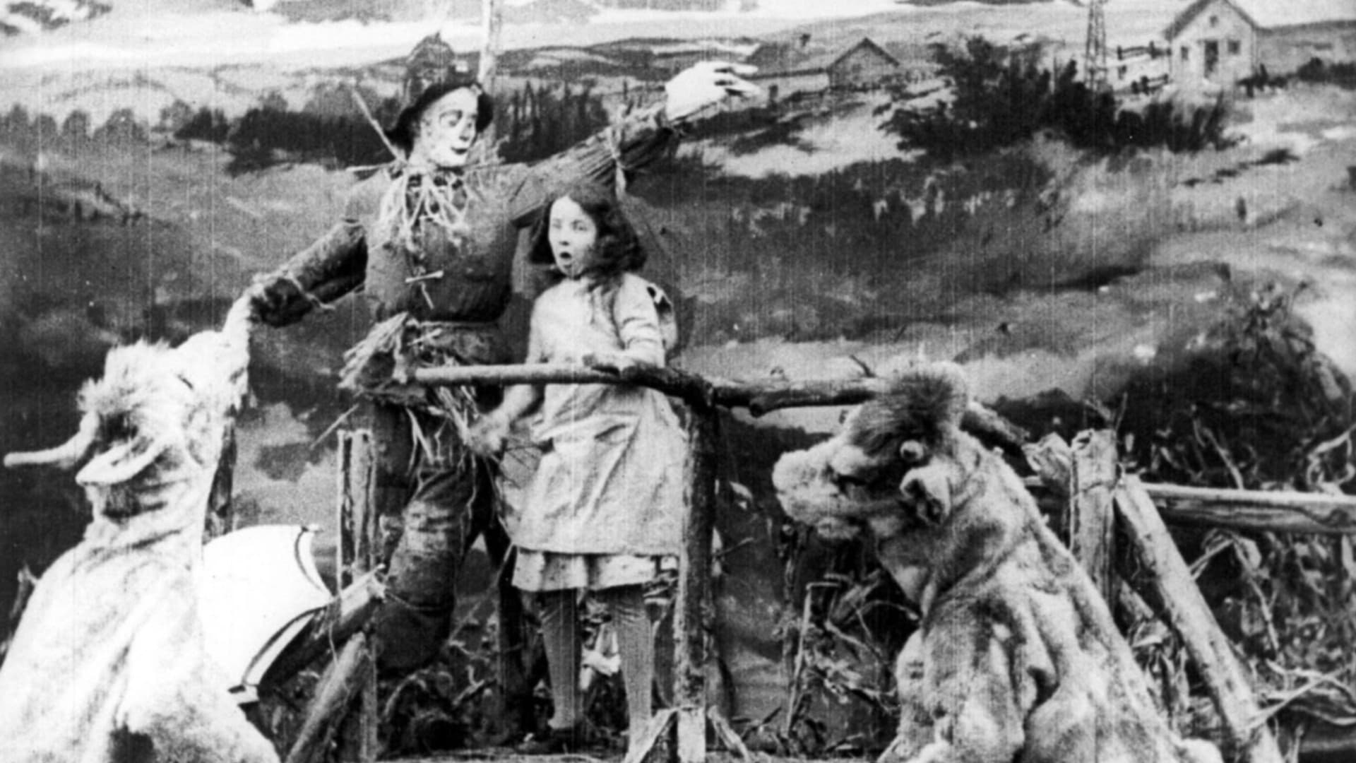 The Wonderful Wizard of Oz backdrop