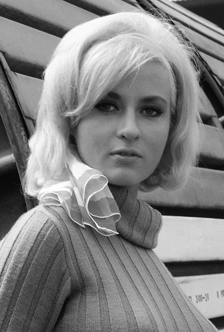 Lee Meredith profile