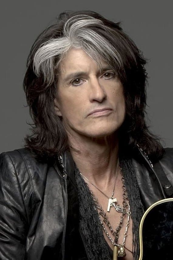 Joe Perry profile