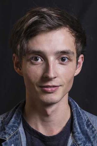 Denis Šafařík profile