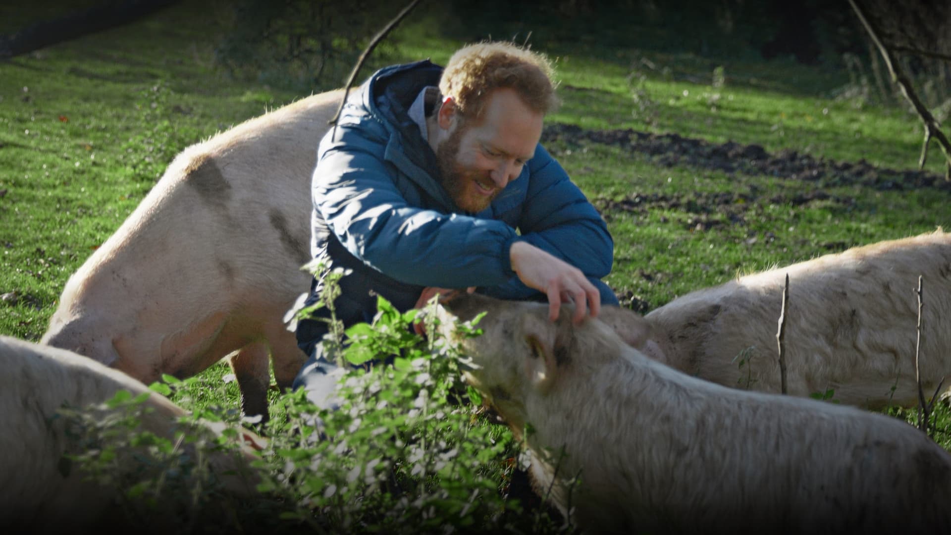 I Could Never Go Vegan backdrop
