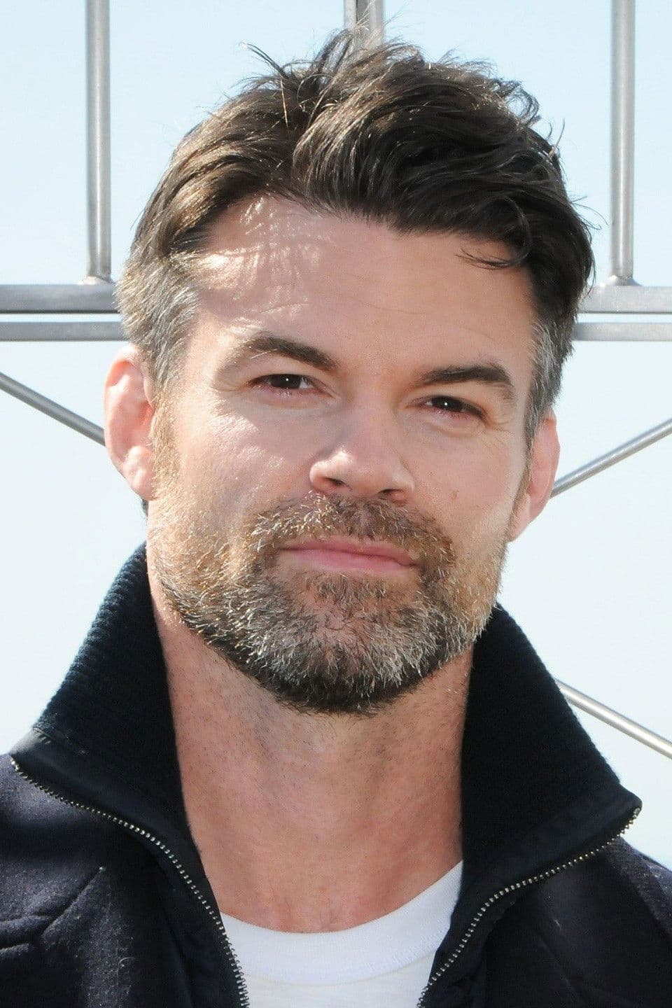Daniel Gillies profile