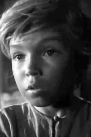 Sergei Zolotaryov profile