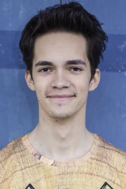 Lukáš Frlajs profile