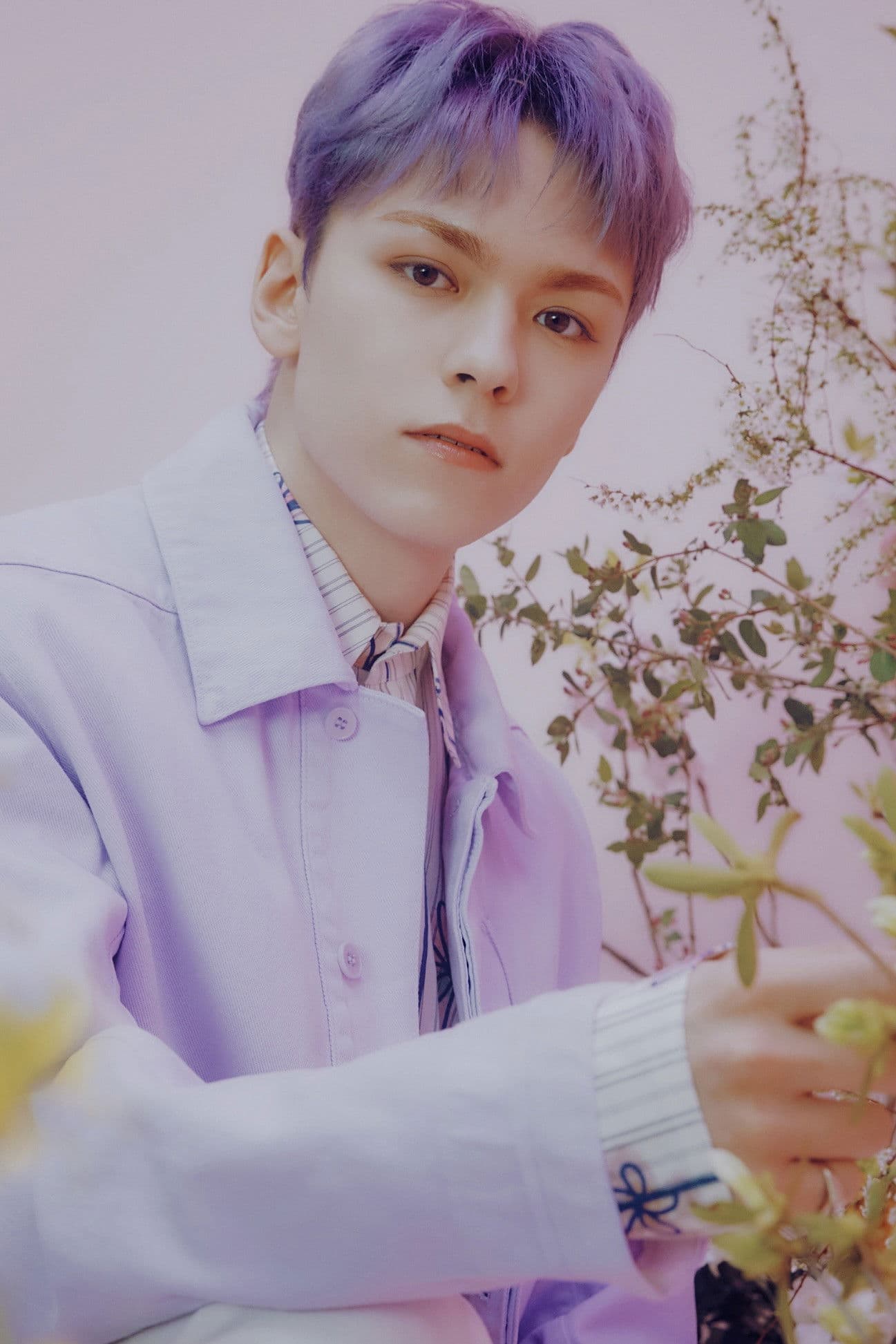 Vernon profile