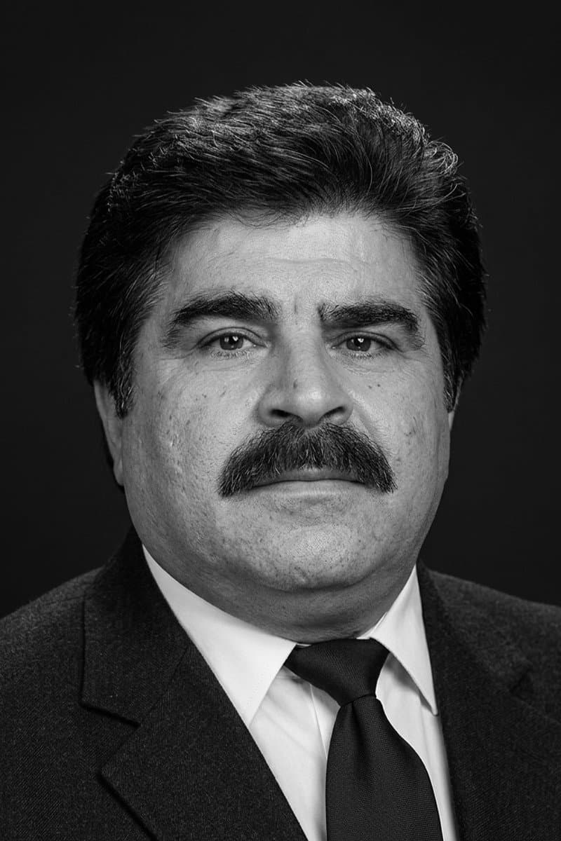 Adnan Mersinli profile