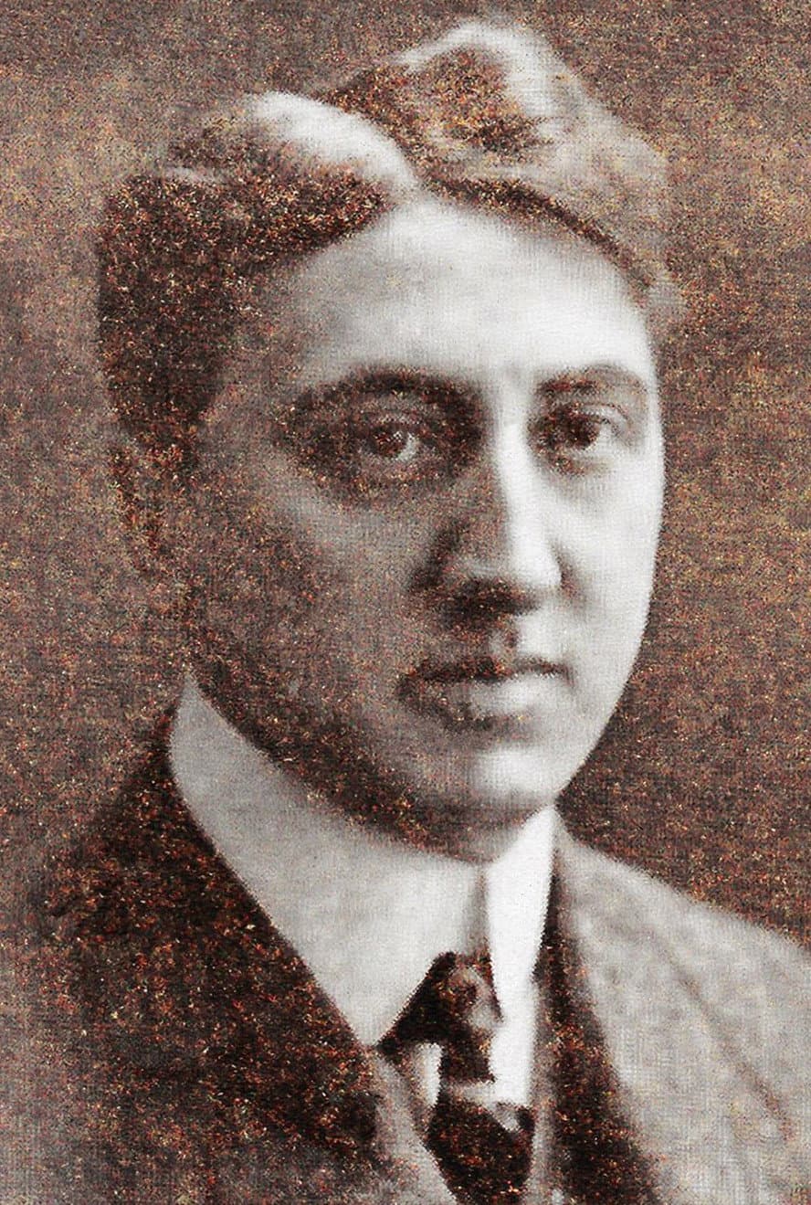 Jan van Dommelen profile