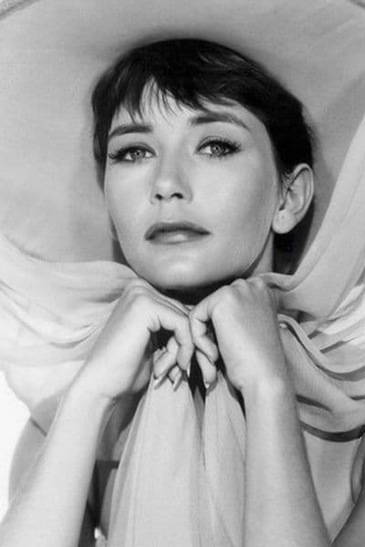 Barbara Bostock profile