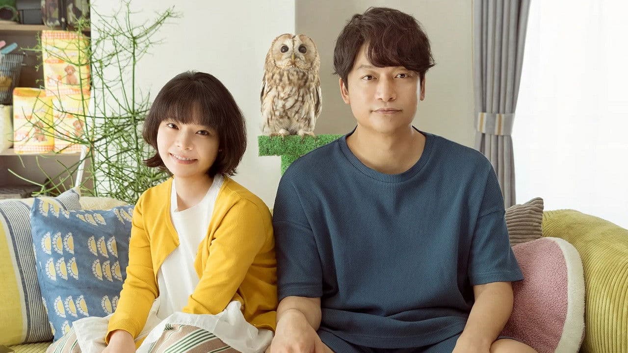 Everything Will Be Owlright! backdrop