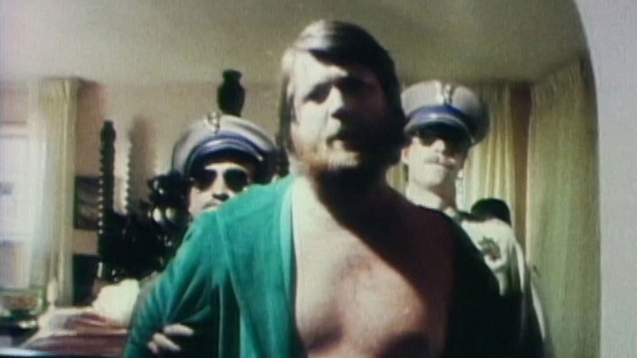 The Beach Boys: It's OK backdrop