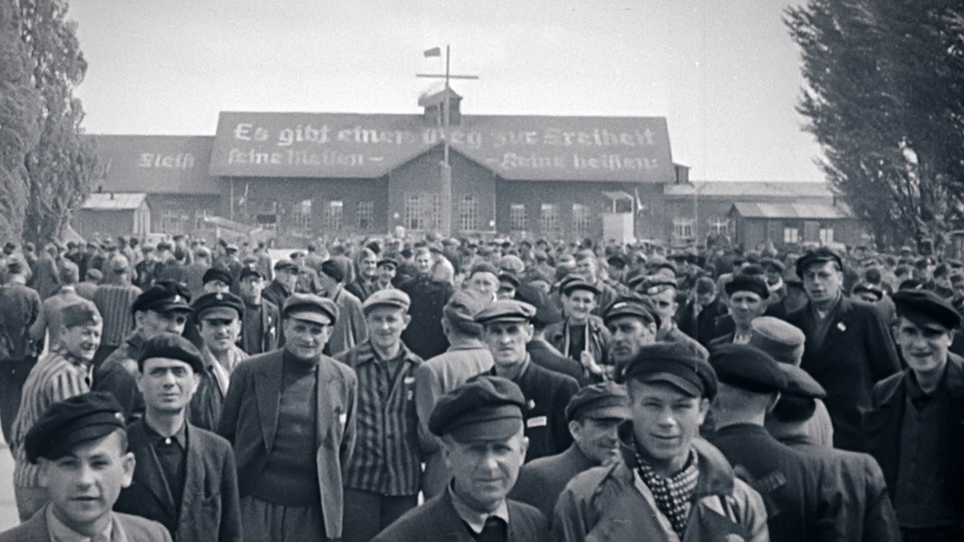 Les survivants, l'impossible départ après la Shoah