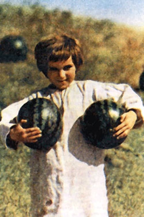 Oleksandr Sergienko profile