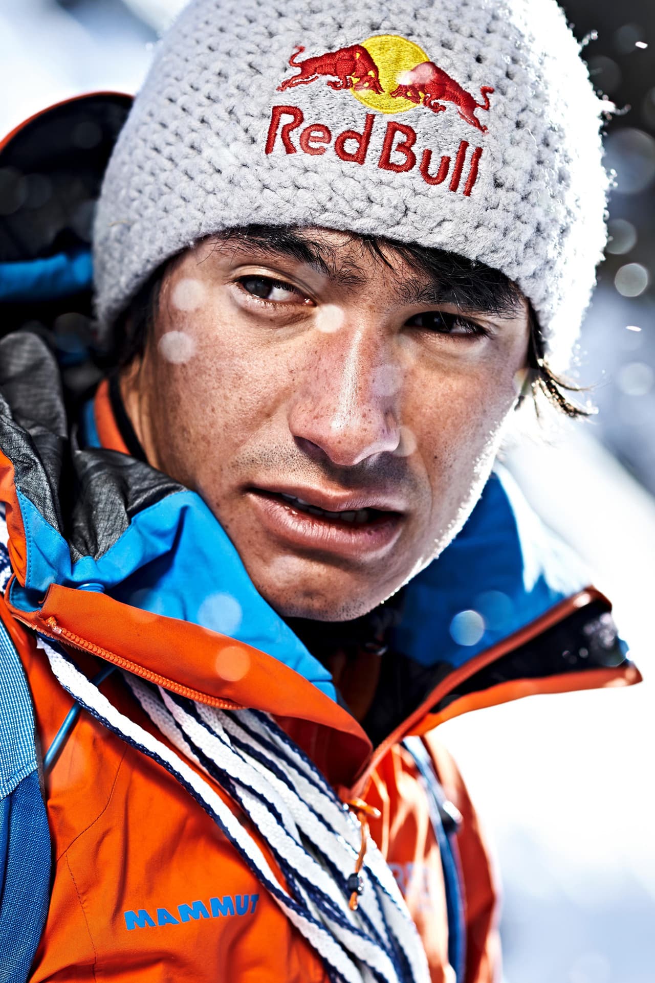 David Lama profile