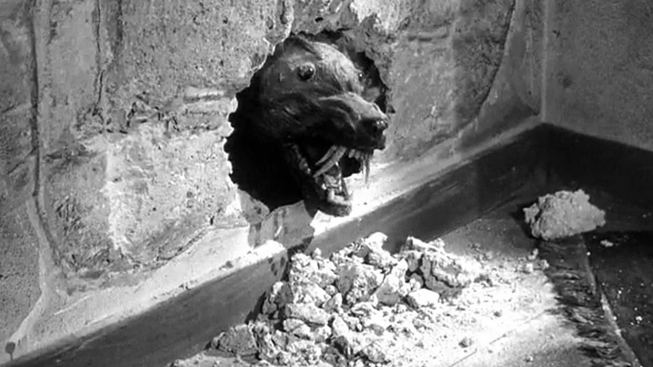 The Killer Shrews backdrop