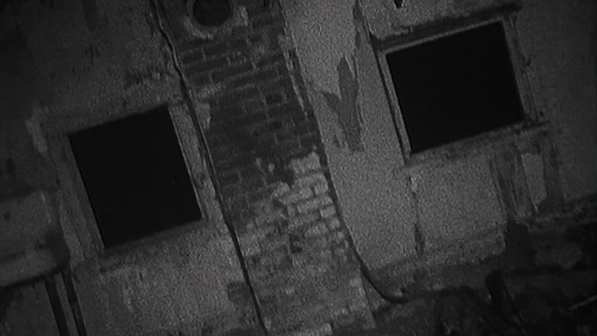 Shadow of the Blair Witch backdrop