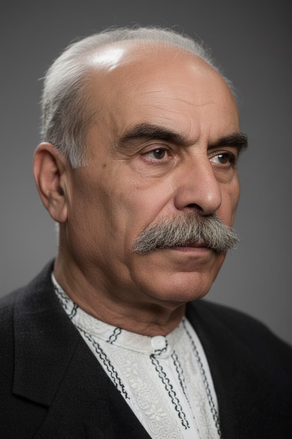 Osman Türkoğlu profile