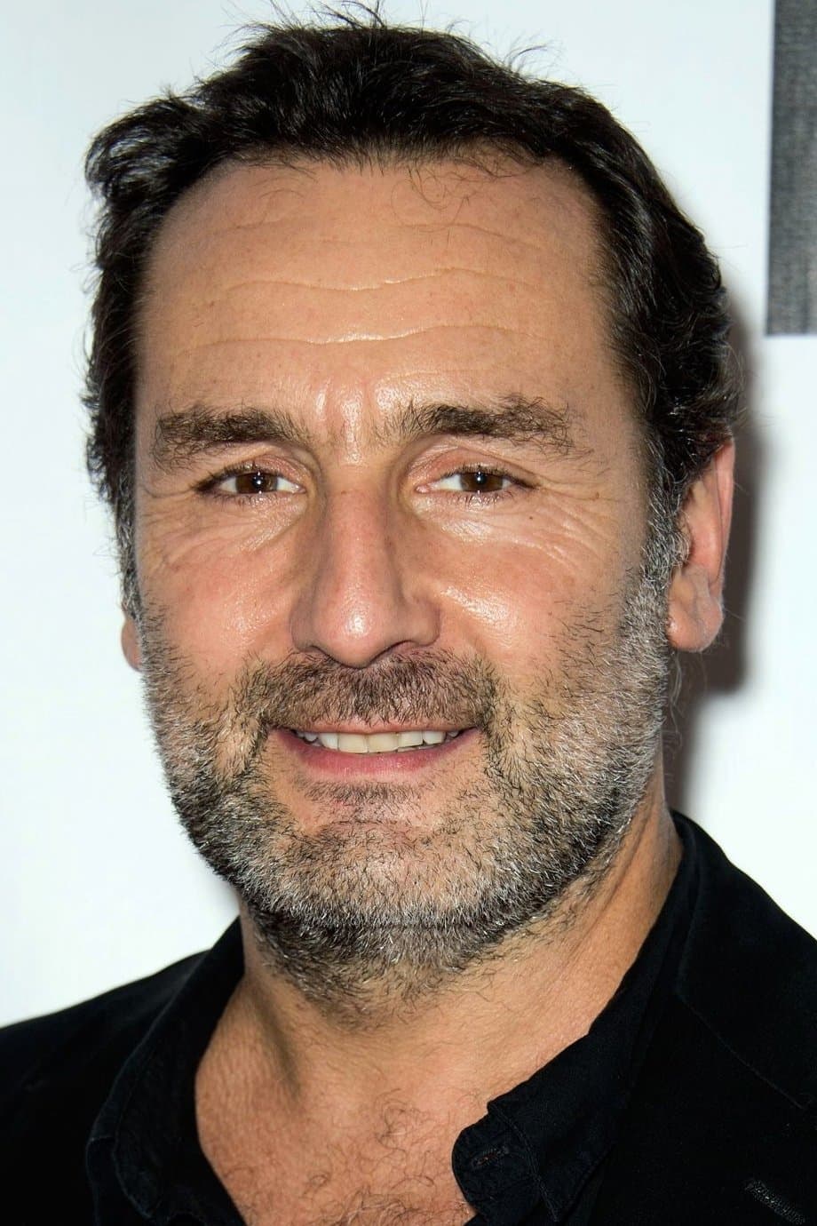 Gilles Lellouche profile