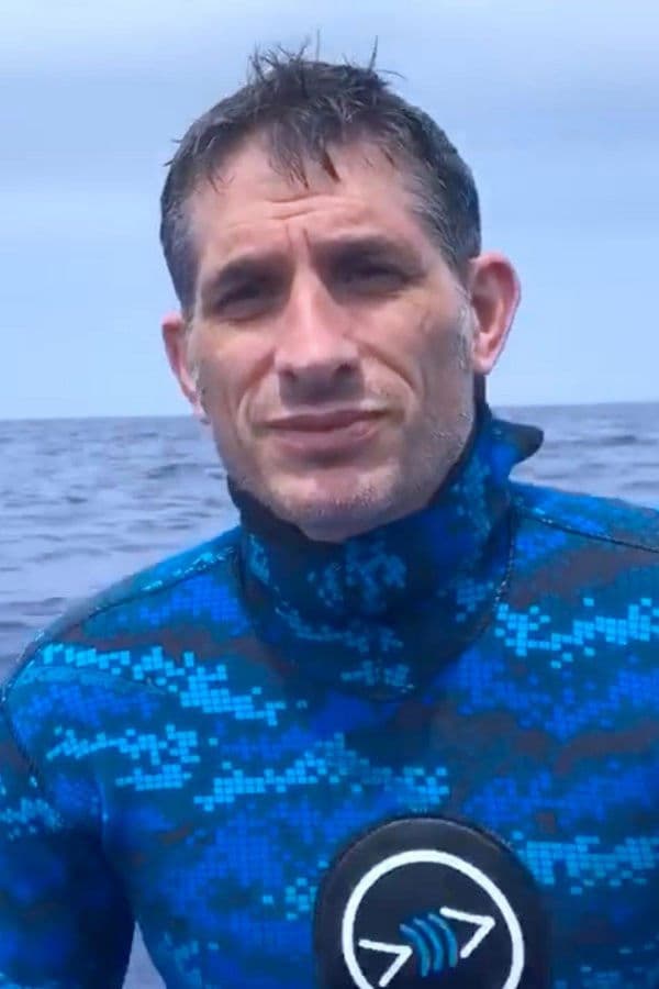 Yannis P. Papastamatiou profile