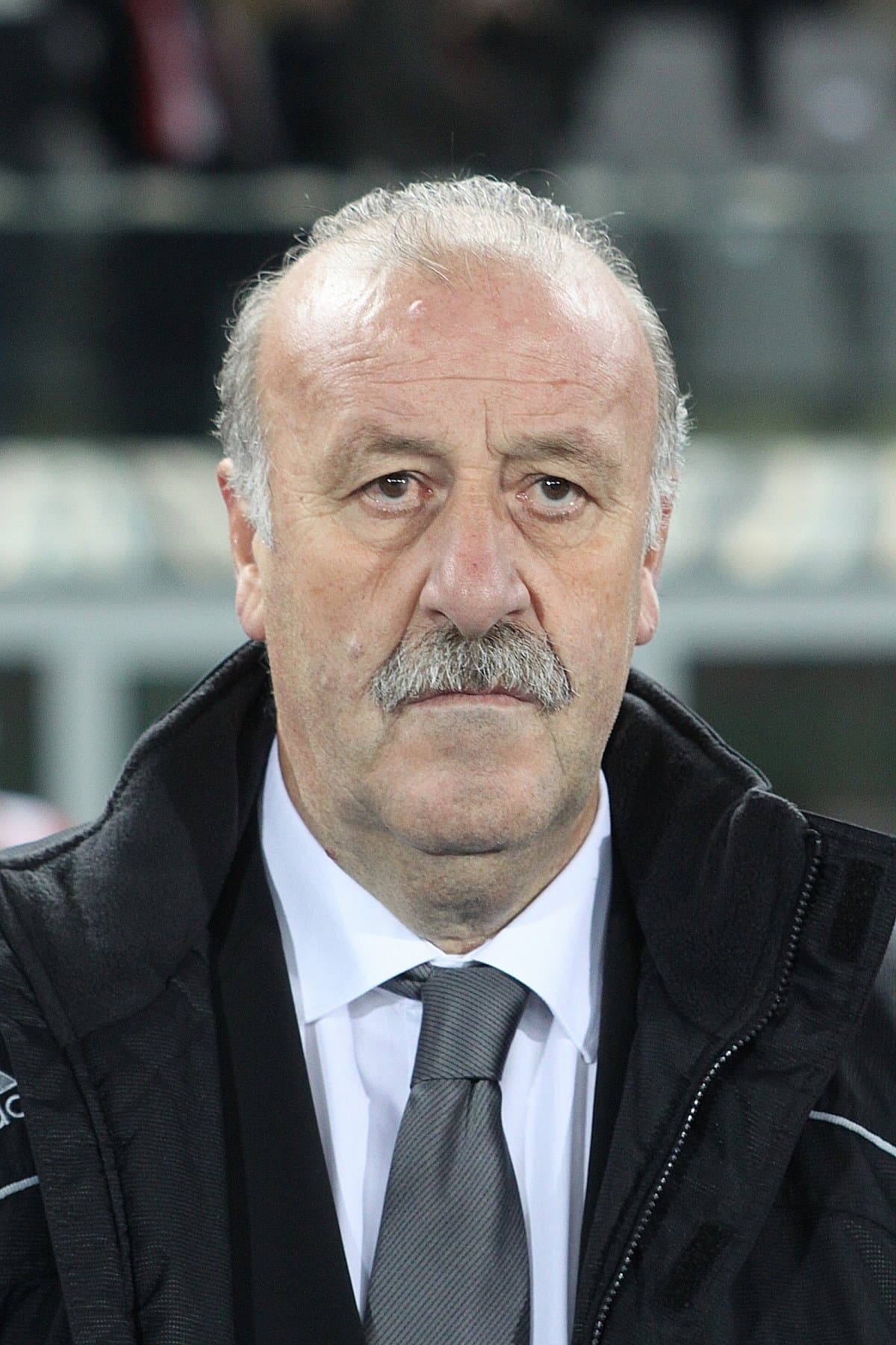 Vicente del Bosque profile