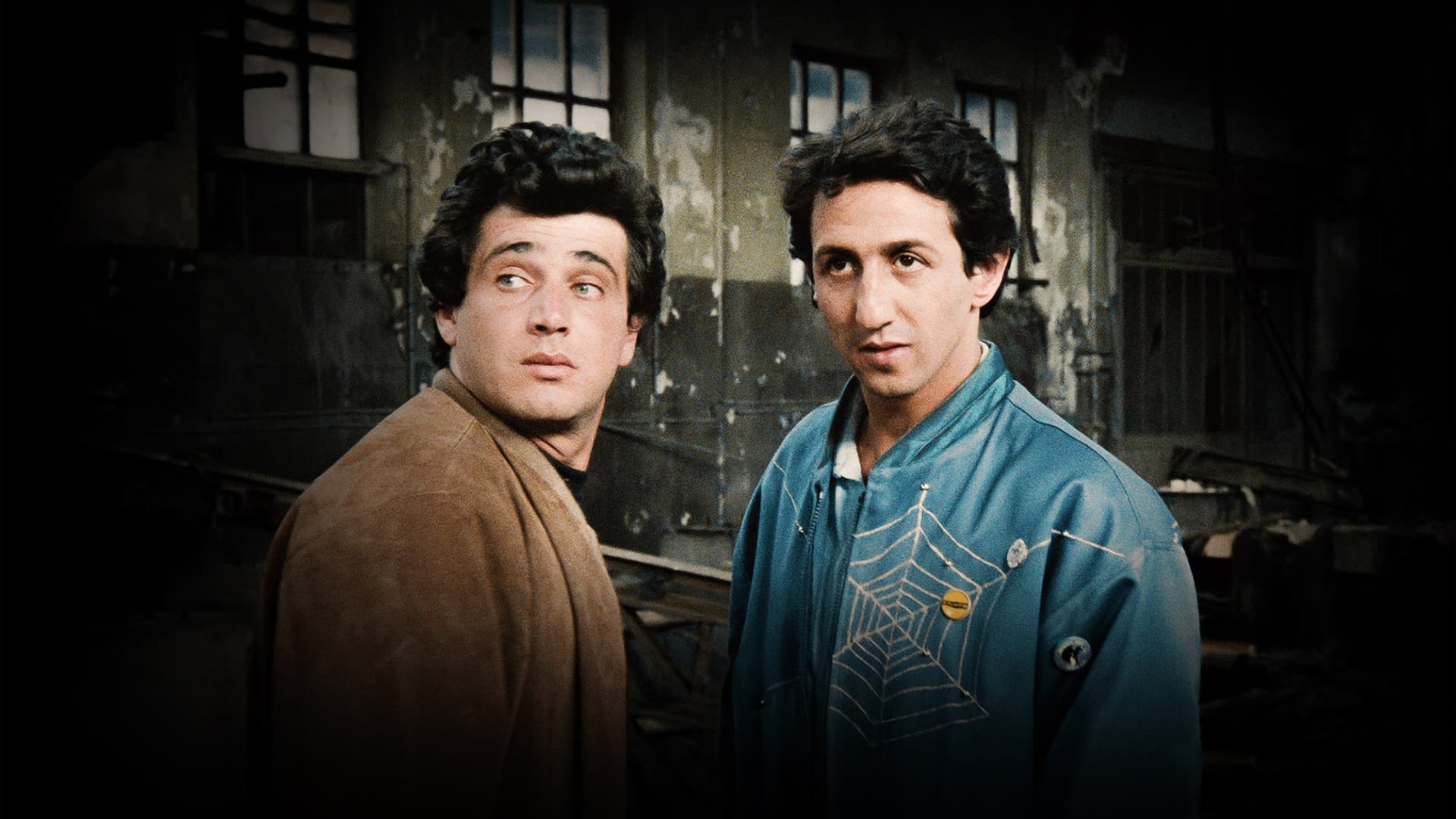 Levy & Goliath backdrop