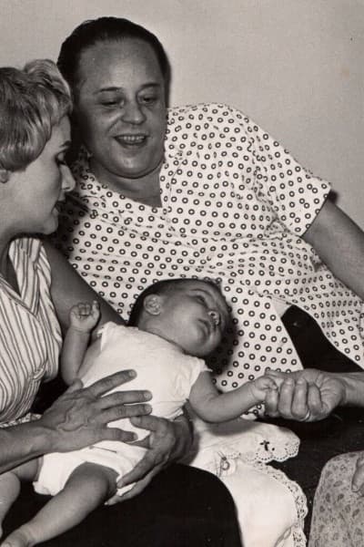 José de San Antón profile