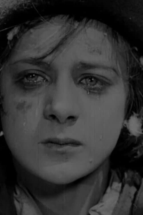 Nicolas Roudenko profile