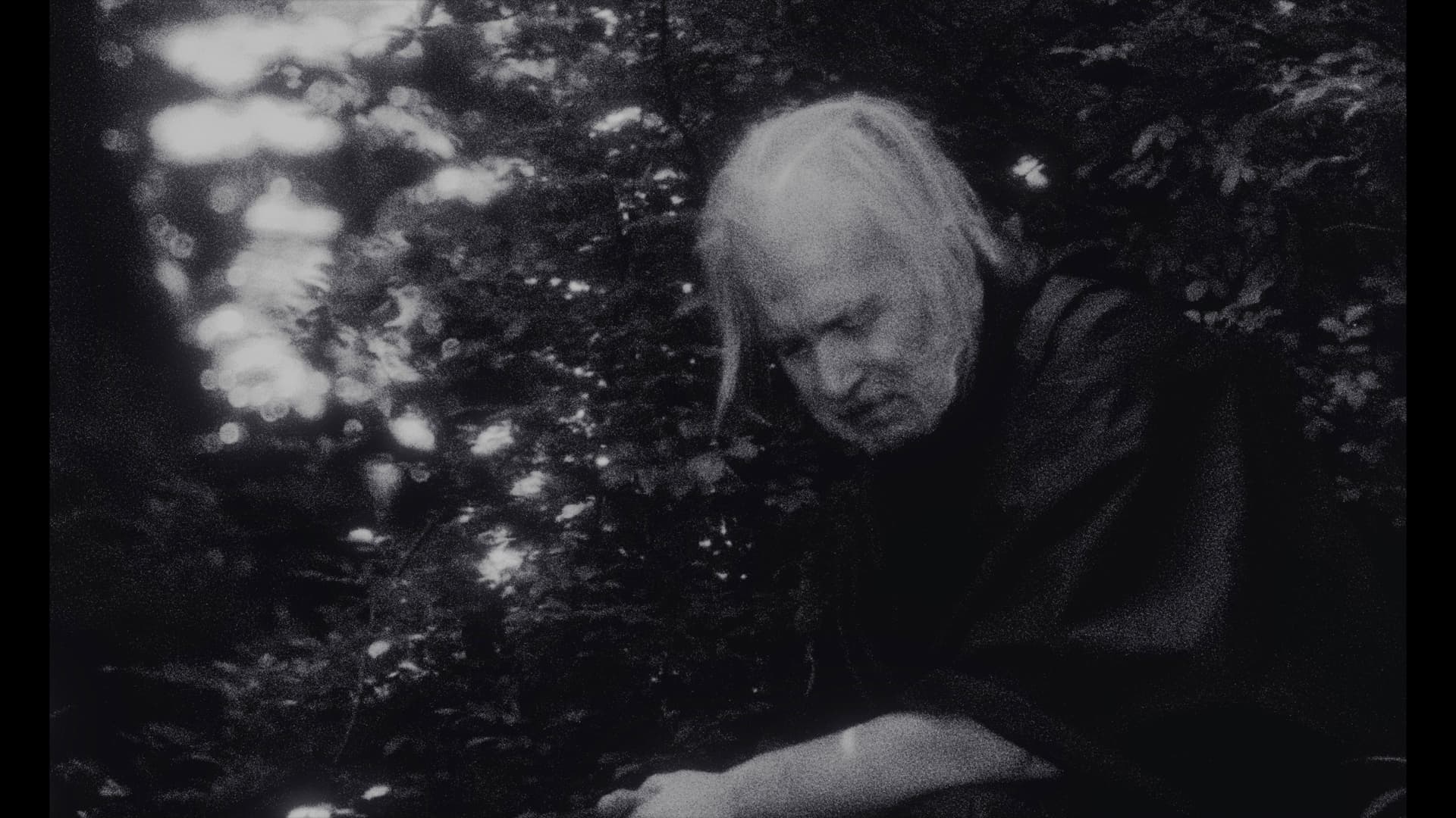 Passenger Jet backdrop