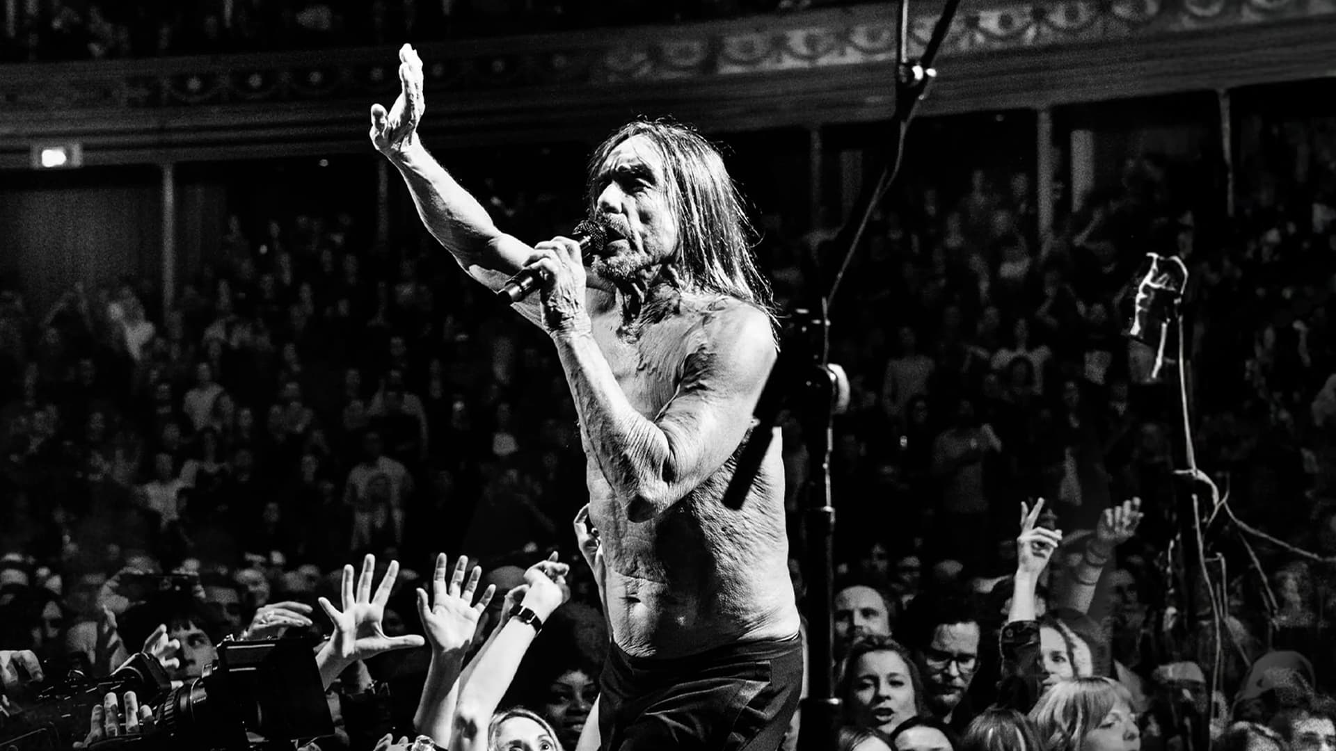 Iggy Pop - Post Pop Depression: Live at the Royal Albert Hall backdrop
