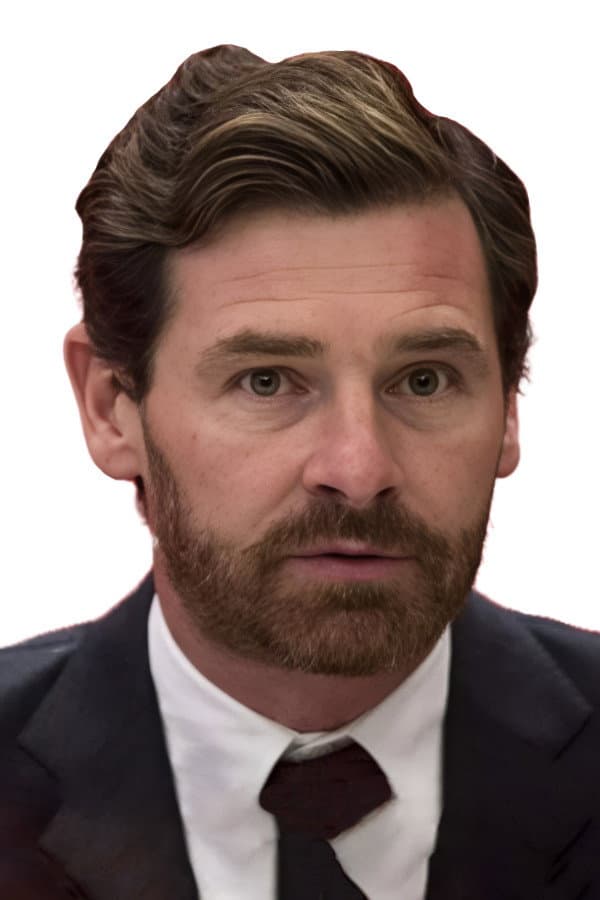 André Villas-Boas profile