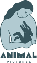 Animal Pictures