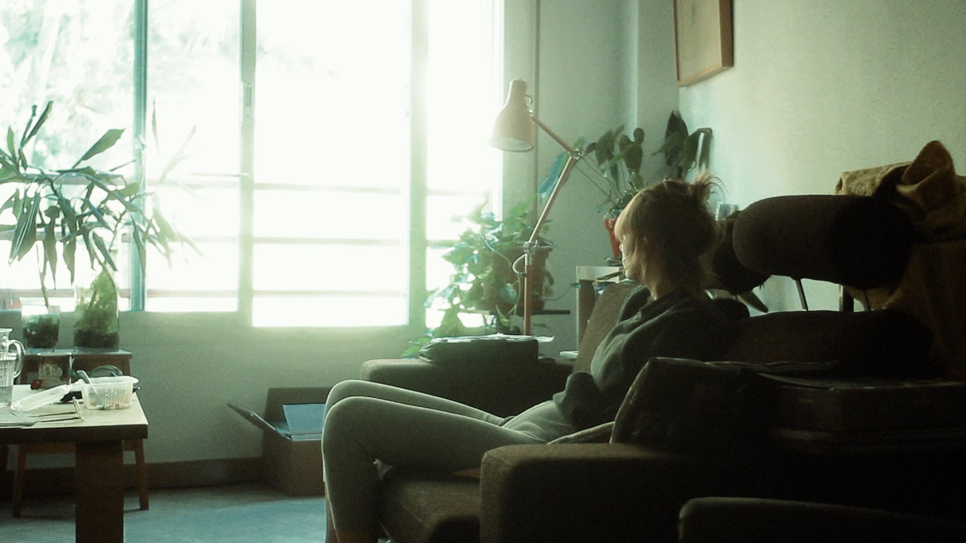 Solar Noise backdrop