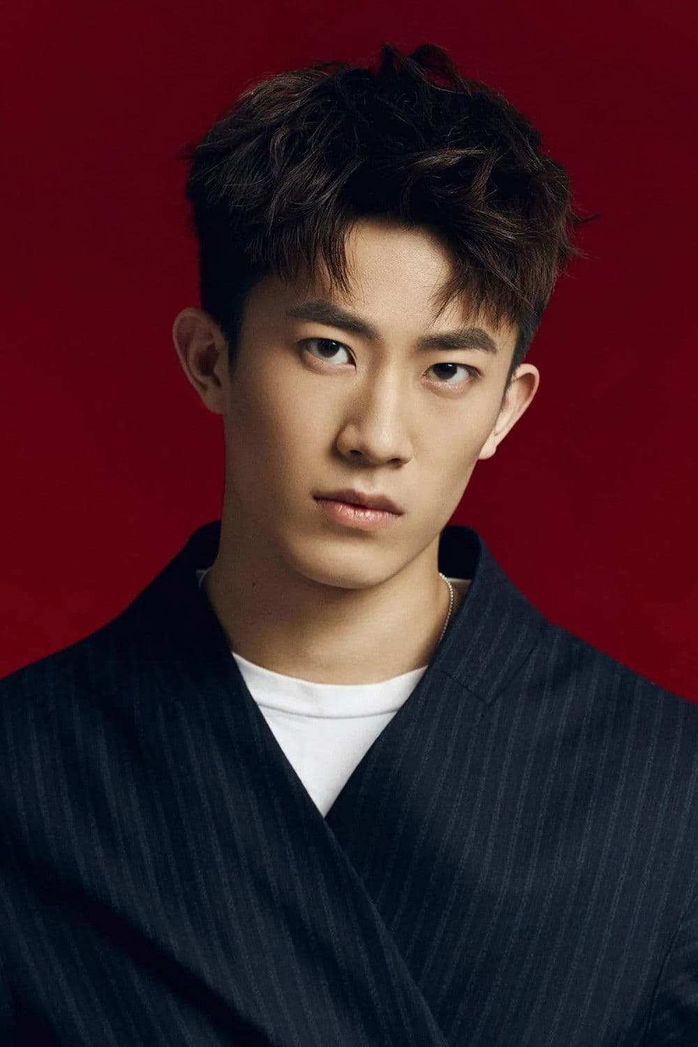 Zhang Kaitai profile