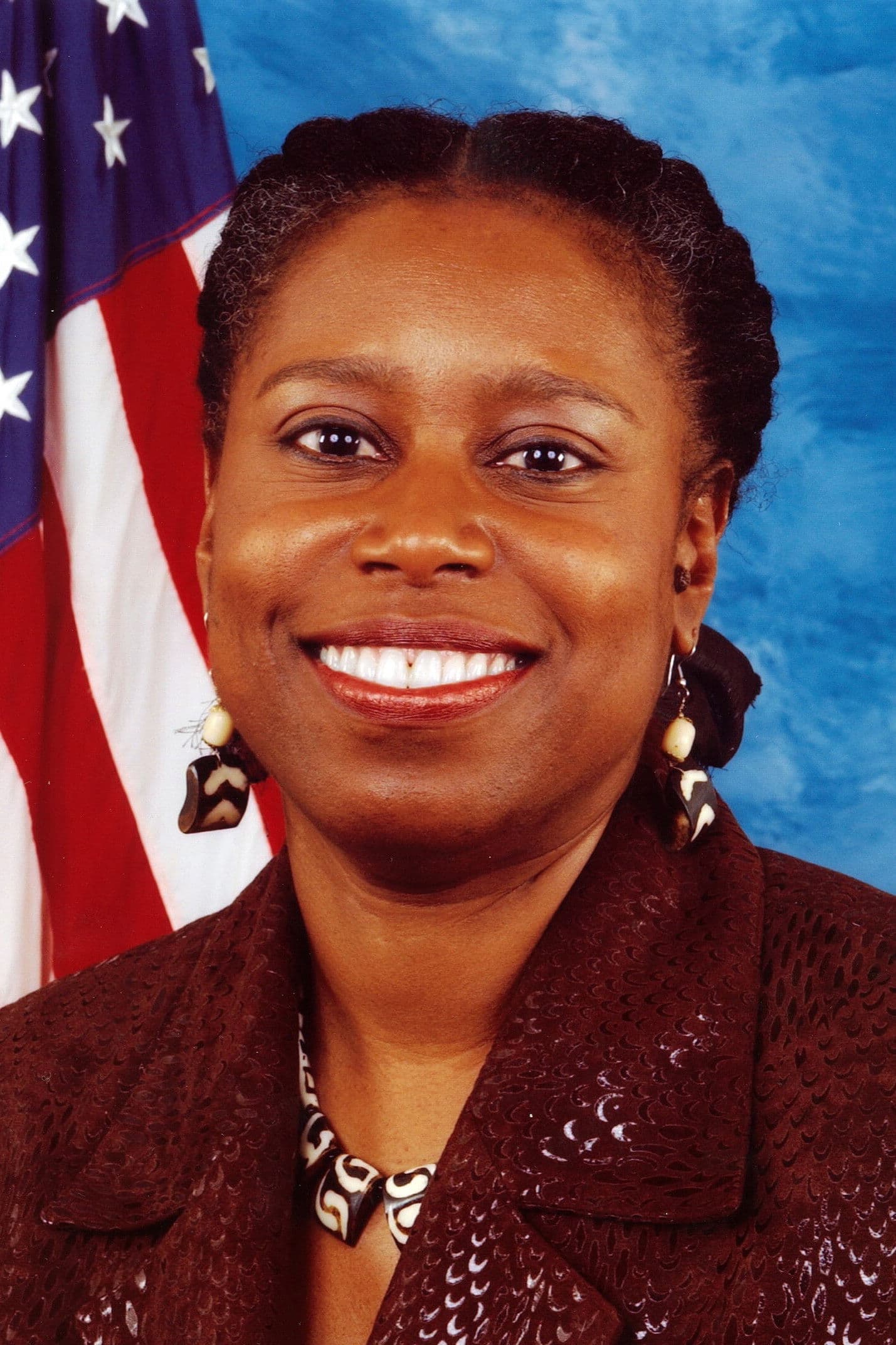 Cynthia McKinney profile