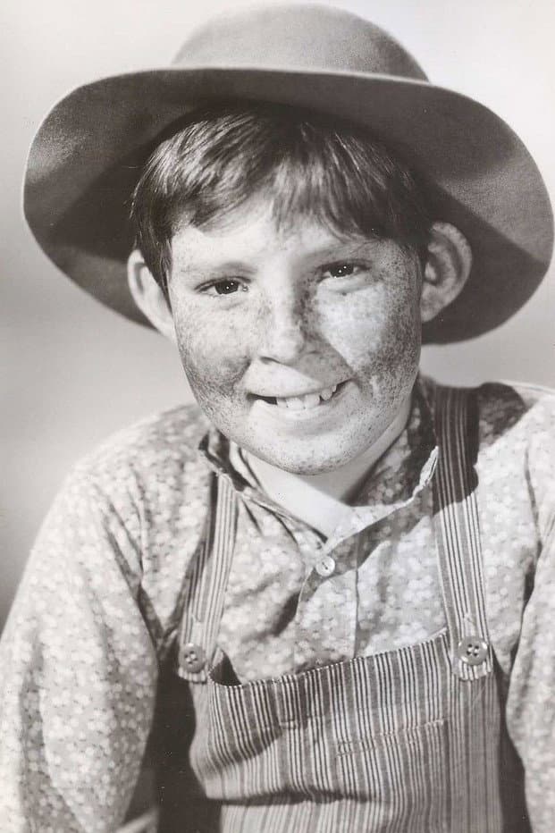 Stephen Wootton profile