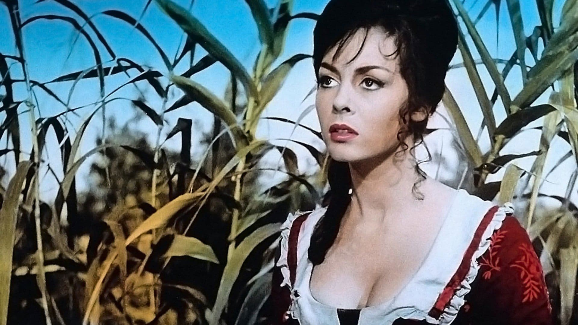 Women of Devil's Island backdrop