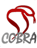 Cobra Film Department