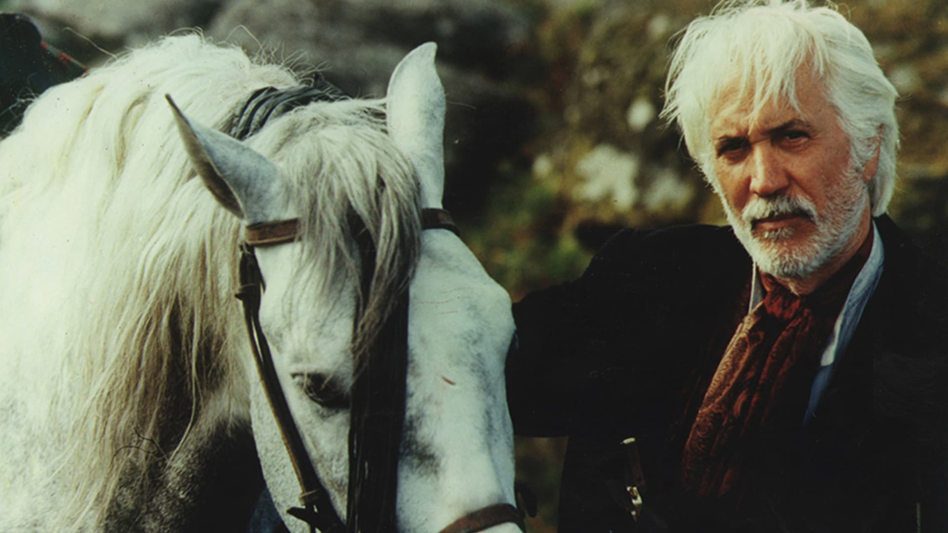 The Frontier Law backdrop