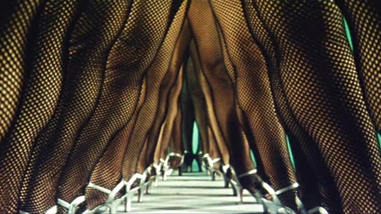 The Woman Who Touched Legs backdrop