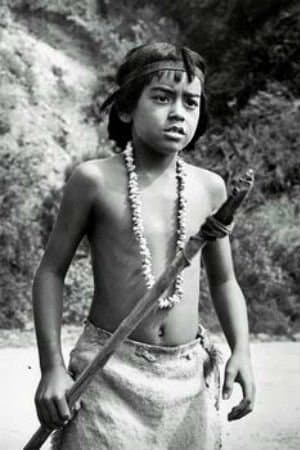 Larry Domasin profile