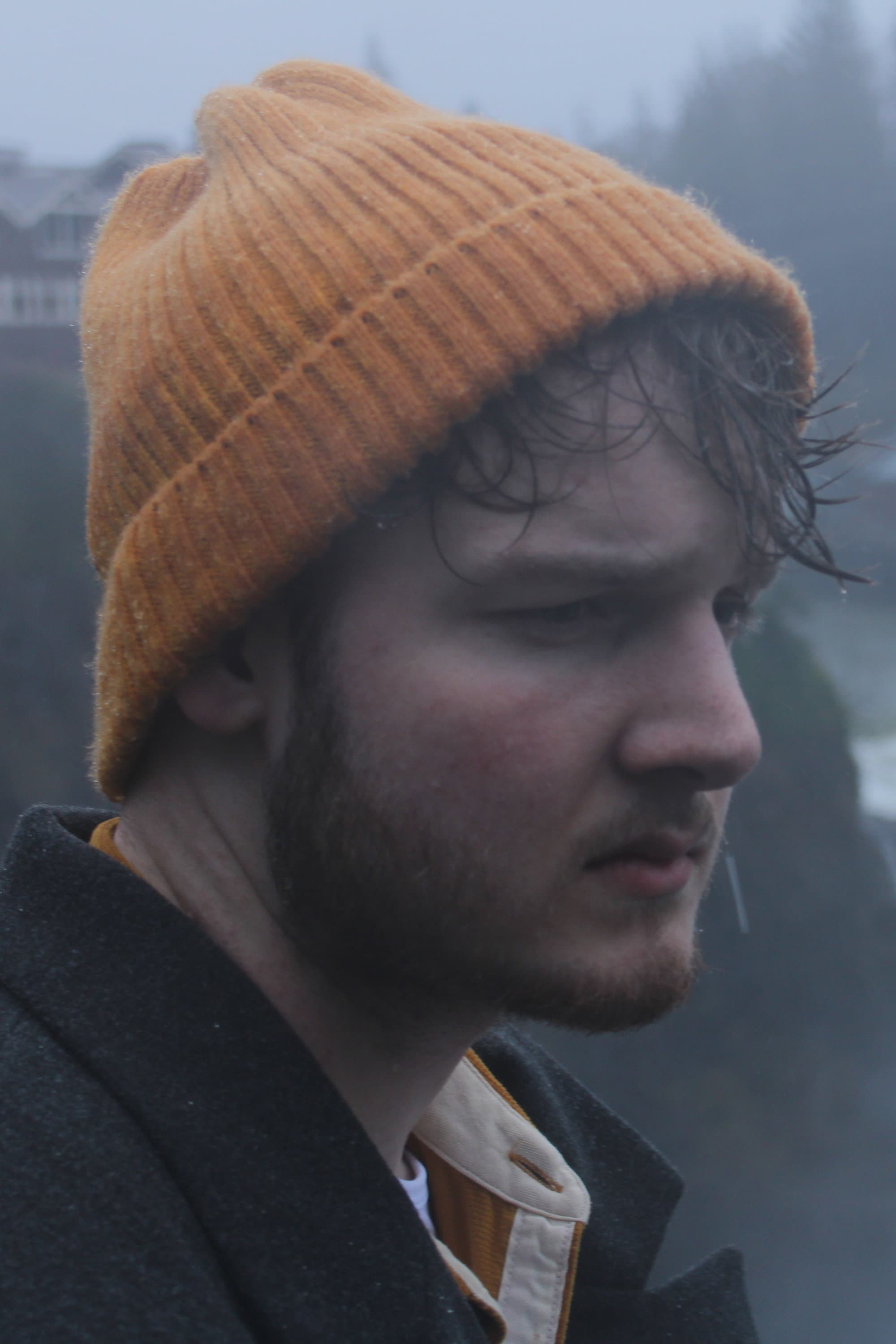 Luuk van der Steen profile